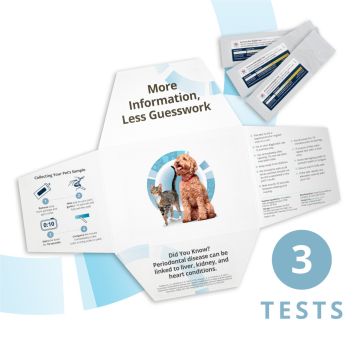 Petivity At-Home Oral Health Test for Cats & Dogs