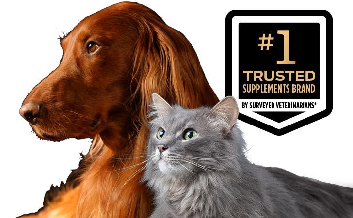 A dog and a cat with a Number 1 Trusted Supplements Brand by Surveyed Veterinarians logo.