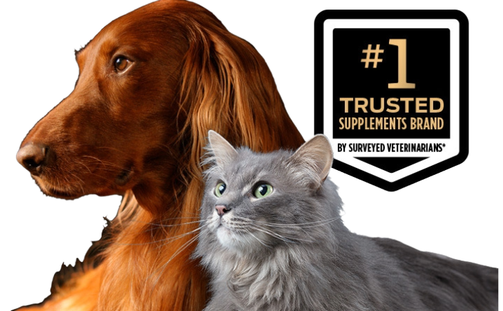 A dog and a cat with a Number 1 Trusted Supplements Brand by Surveyed Veterinarians logo.