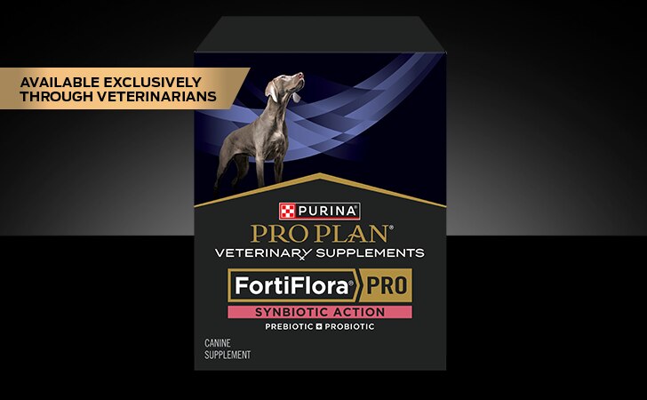 Purina Pro Plan Veterinary Supplements FortiFlora PRO Synbiotic Action is available exclusively through veterinarians.