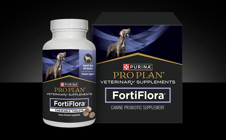 A bottle of Purina Pro Plan Veterinary Supplements FortiFlora probiotic supplement for dogs chewable tablets.
