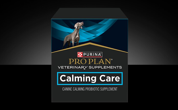 A box of Pro Plan Veterinary Supplements Calming Care probiotic supplement for dogs.