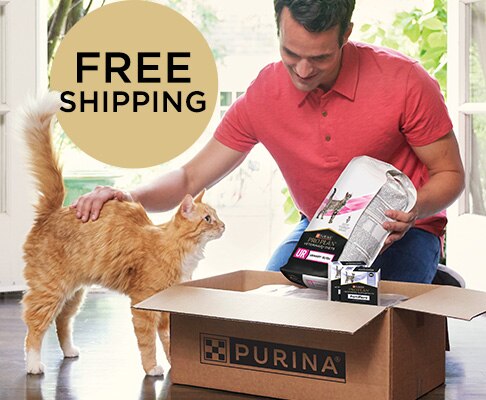 Owner opening a box of Pro Plan Veterinary Diets while petting his cat, with a &ldquo;Free Shipping&rdquo; callout overlaid.